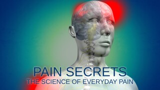 Pain Secrets: The Science of Everyday Pain