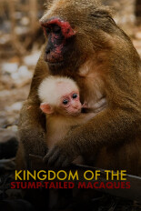 Kingdom of the Stump-Tailed Macaques