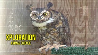 Xploration: Animal Science