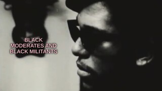 Black Moderates and Black Militants