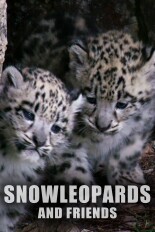 Snow Leopards and Friends