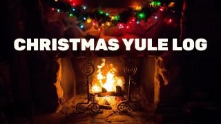 Christmas Yule Log