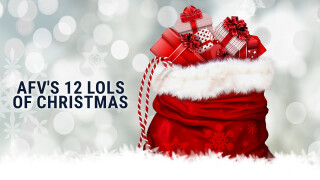 AFV's 12 LOLs of Christmas