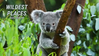 Wildest Places: Australia