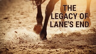 The Legacy of Lane's End