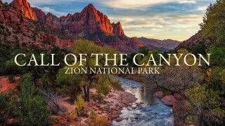 Call of the Canyon: Zion National Park