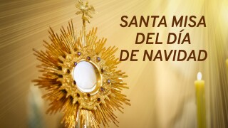 Santa misa del día de Navidad