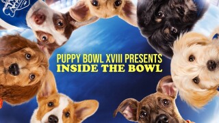 Puppy Bowl XVIII Presents: Inside the Bowl