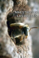 Maestros de las abejas