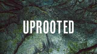 Uprooted