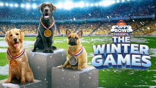 Puppy Bowl Presents: The Winter Games