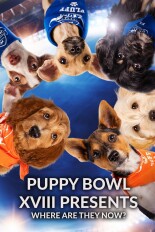 Puppy Bowl XVIII Presents: Where Are They Now?