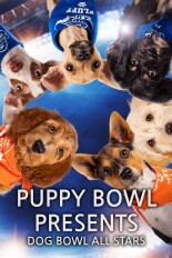 Puppy Bowl Presents: Dog Bowl All Stars