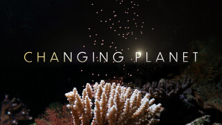 Changing Planet