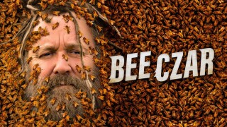 Bee Czar