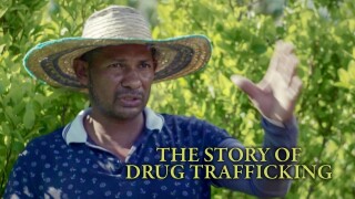 The Story of Drug Trafficking