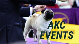 AKC Events