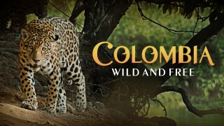 Colombia -- Wild and Free