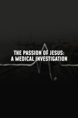 The Passion of Jesus: A Medical Investigation