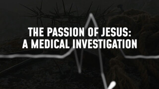 The Passion of Jesus: A Medical Investigation