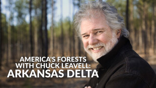 America's Forests With Chuck Leavell: Arkansas Delta