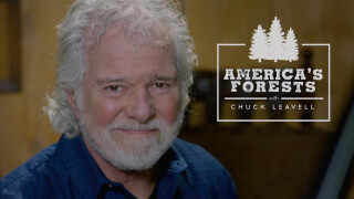 America's Forests With Chuck Leavell: Arkansas Ozarks