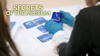 Secrets of the Museum