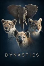 Dynasties