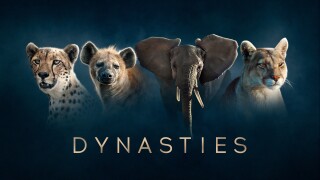 Dynasties