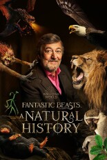 Fantastic Beasts: A Natural History