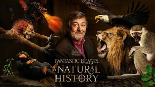 Fantastic Beasts: A Natural History