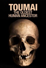 Toumai, the Oldest Human Ancestor