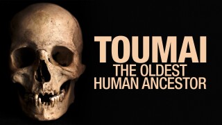 Toumai, the Oldest Human Ancestor