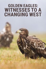 Golden Eagles: Witnesses to a Changing West