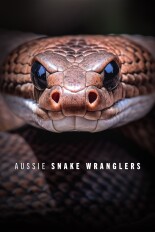 Aussie Snake Wranglers