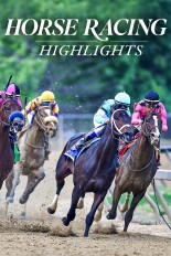 Horse Racing Highlights