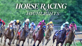 Horse Racing Highlights