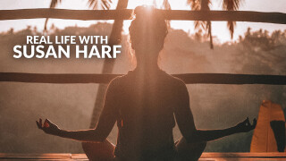 Real Life With Susan Harf