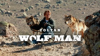 Zoltan the Wolfman