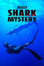 Maui Shark Mystery