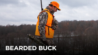 The Bearded Buck