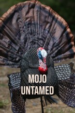 Mojo Untamed