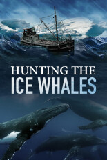 Hunting the Ice Whales