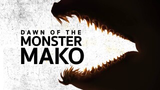 Dawn of the Monster Mako