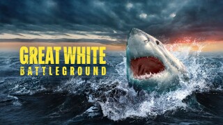 Great White Battleground