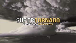 SuperTornado: Anatomy of a Megadisaster