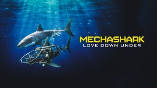 Mechashark Love Down Under