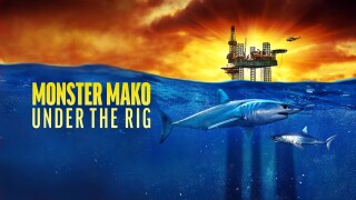 Monster Mako Under the Rig