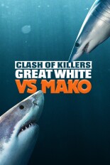Clash of Killers: Great White vs Mako
