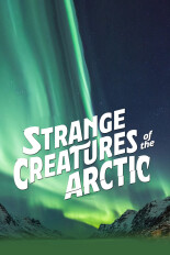 Strange Creatures of the Arctic